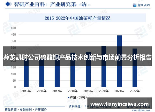 尊龙凯时公司硫酸铜产品技术创新与市场前景分析报告