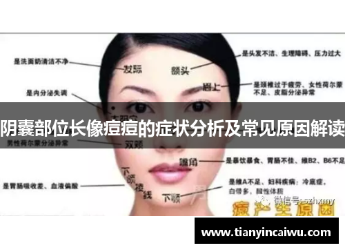 阴囊部位长像痘痘的症状分析及常见原因解读